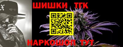 мдпв Долгопрудный