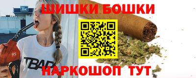 мдпв Долгопрудный