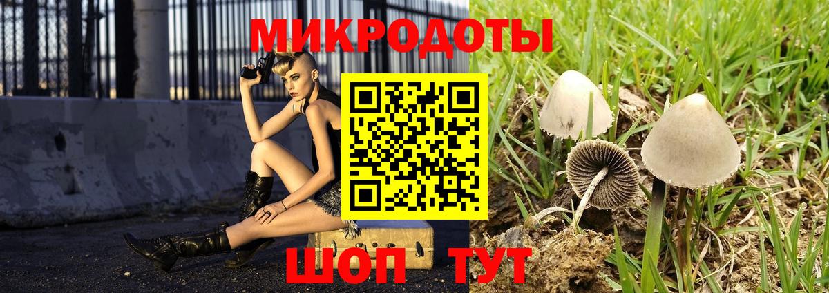 Псилоцибиновые грибы MAGIC MUSHROOMS Апшеронск