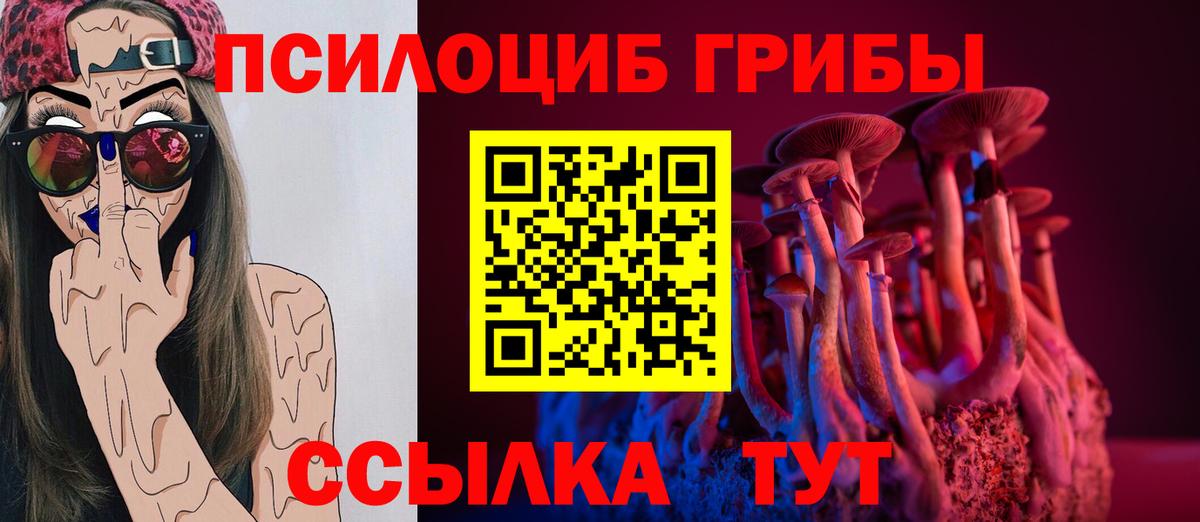 Апшеронск  Галлюциногенные грибы GOLDEN TEACHER  Вход с VPN 
