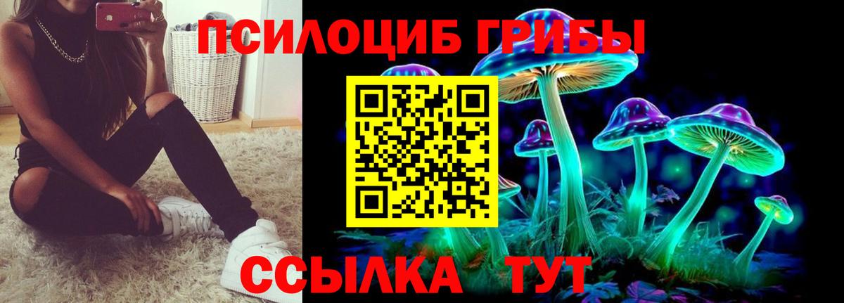 Галлюциногенные грибы Psilocybe  Галлюциногенные грибы MAGIC MUSHROOMS  Апшеронск 