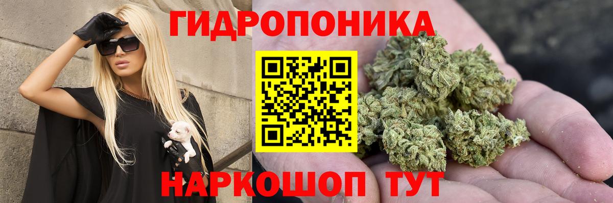 Конопля Ganja Апшеронск